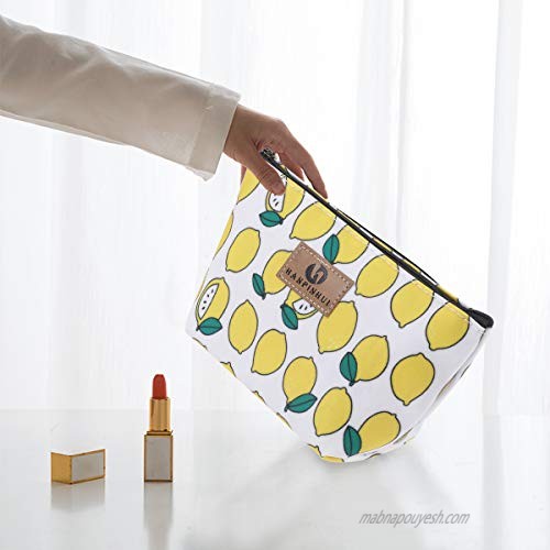 Toiletry Bag Frcolor Multifunction Makeup Bag Purse Organizer Cartoon Cosmetic Pouch Waterproof Travel Cosmetic Case for Women Girls Teenagers (Lemon)