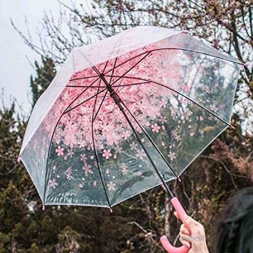Cute Clear Bubble Umbrella Cherry Blossoms Umbrella Romantic Clear Semi-Automatic Sunny Umbrella for Kids Girls & Boys