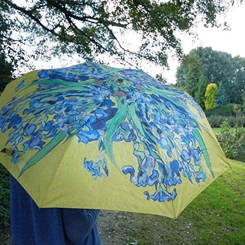 Van Gogh Umbrella Irrises