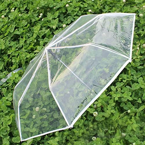 WerFamily Full Automatic Umbrella Folding Transparent Clear Auto Open Travel