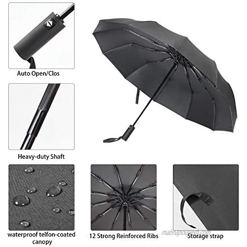 Windproof Travel Umbrella Auto Open & Close Folding Umbrella