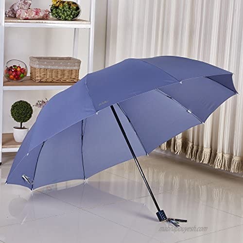 Paradise 10 Ribs Windproof Travel Umbrella 60 Inch Extra Large Folding Umbrella(Light Blue)