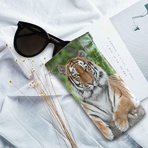 BETTKEN Sunglass Pouch Funny African Animal Tiger Portable Eyeglasses Case Bag Squeeze Top Soft PU Leather Eyeglass Goggles Cases Holder for Kids Men Women