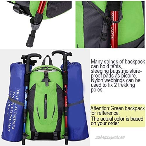 HunterBee Waterproof Hiking Camping Lightweight Travel Backpack 40L Outdoor Daypack-Blue