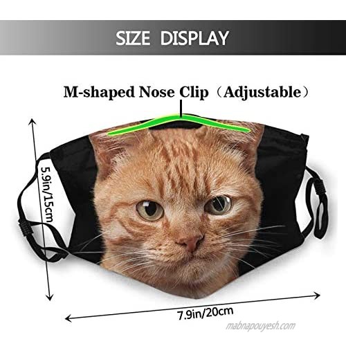 Funny Cat Kitten Black Face Mask With Filter Pocket Washable Reusable Face Bandanas Balaclava With 2 Pcs Filters