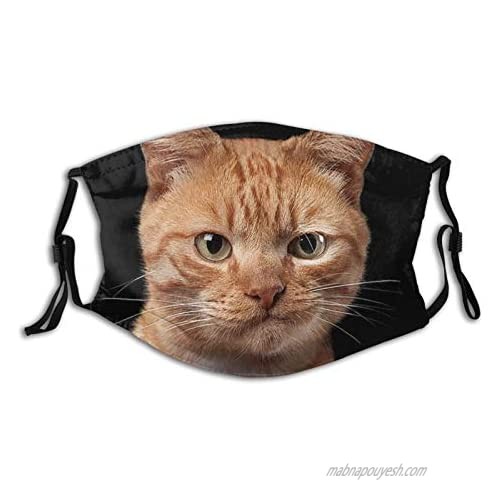 Funny Cat Kitten Black Face Mask With Filter Pocket Washable Reusable Face Bandanas Balaclava With 2 Pcs Filters