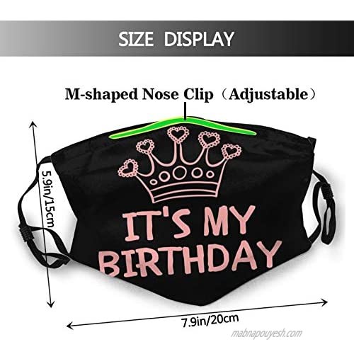 It is My Birthday Face Mask Decorative with 2 Filters for Men and Women Balaclava Cloth