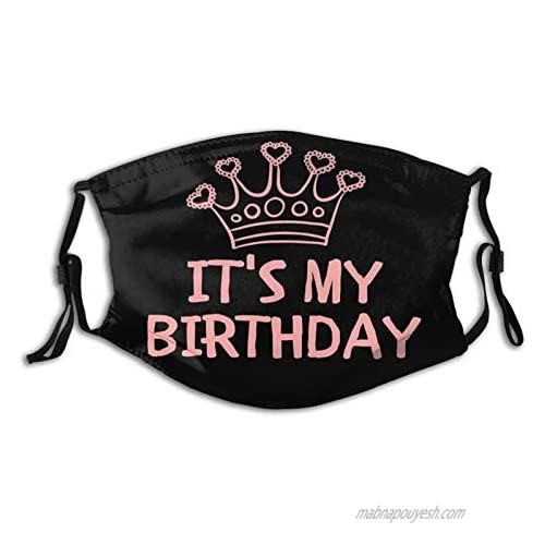 It is My Birthday Face Mask  Decorative  with 2 Filters for Men and Women Balaclava Cloth