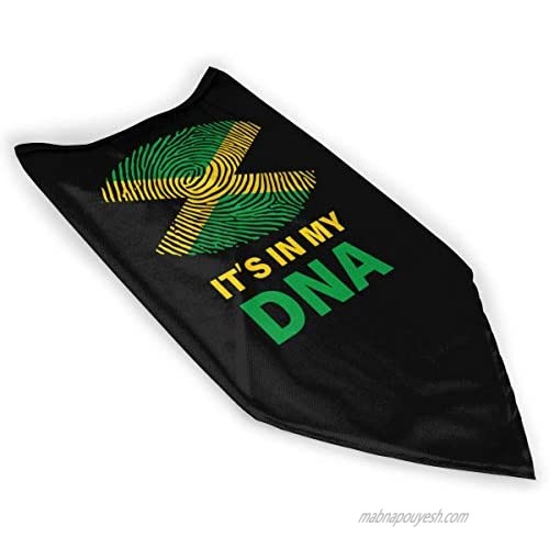 Jamaican It's in My DNA Neck Gaiter Warmer Windproof Face Mask Scarf Outdoor Sports Mask